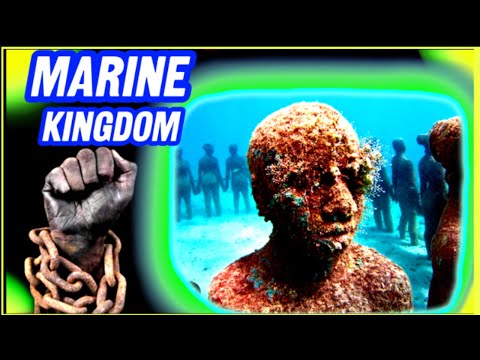 The TRANS ATLANTIC SLAVE WAR Is A LIE!    HISTORY EXPOSED! THE MARINE KINGDOM SHABBAT BIBLE STUDY Thumbnail