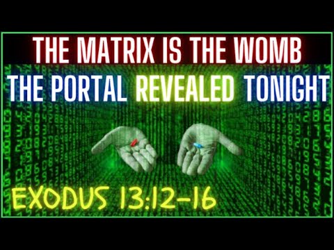 LIVE     YAH SAID THE MATRIX IS THE WOMB     THE PORTAL    @ 3:56:45 - THE MATRIX REVEALED:Exodus Ch:13-12-16 Thumbnail